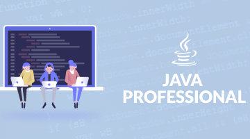 java professional training